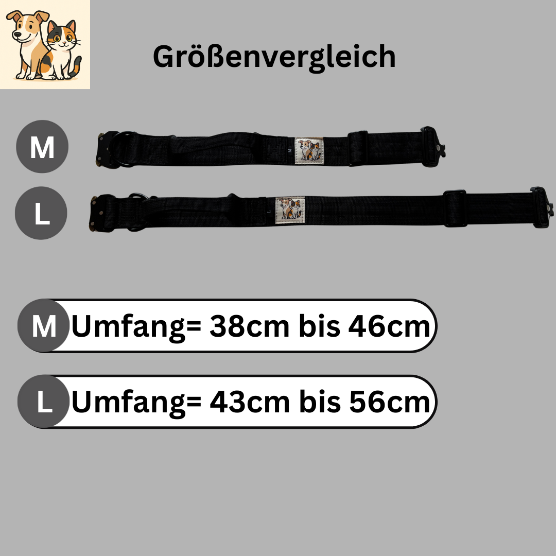 Paw Lounge Premium Spaziergang-Bundle