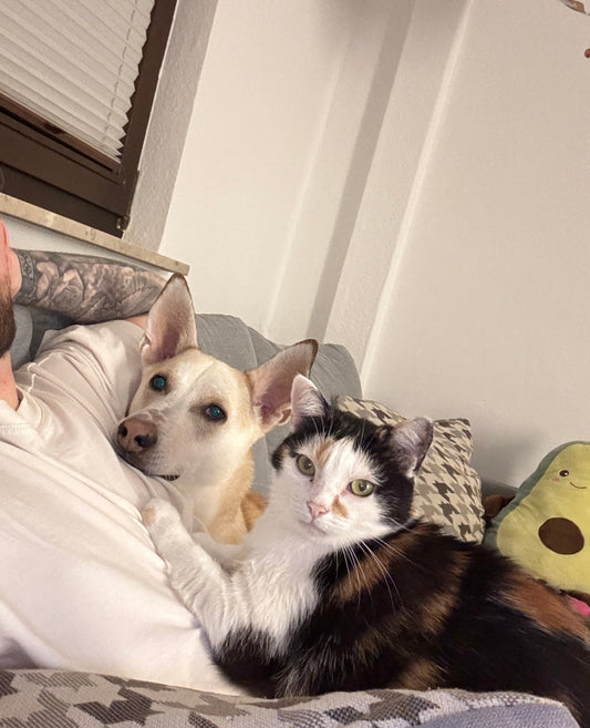 Unsere Pawfluencer und Familienmitglieder