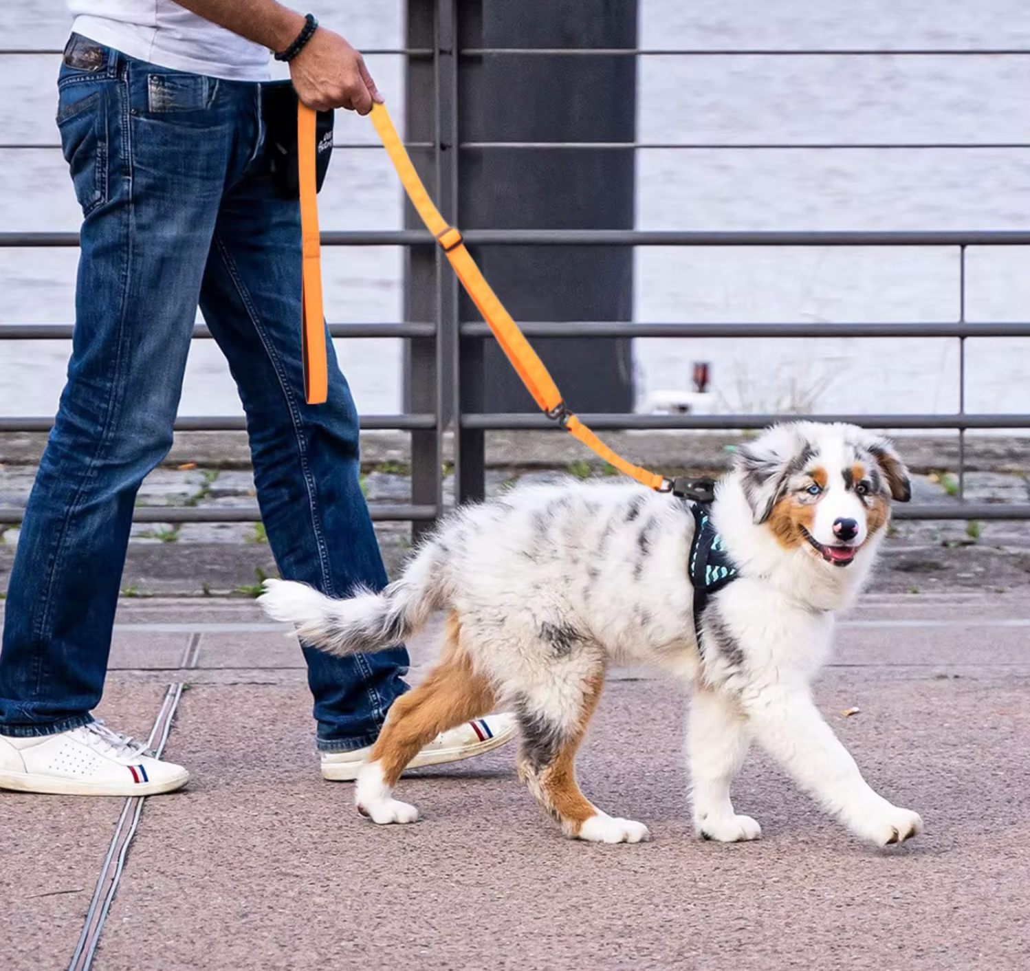 Verdrehsichere Hundeleine aus Nylon und Metall