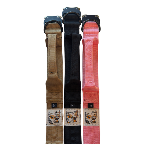 Robustes Nylon-Metall-Halsband mit dem Original Paw Lounge Logo