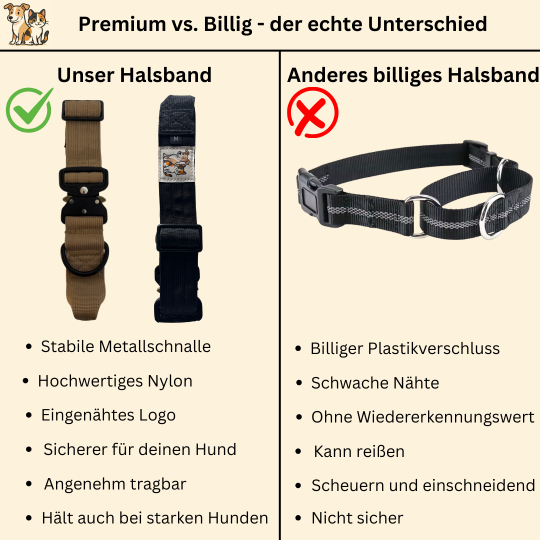 Robustes Nylon-Metall-Halsband mit dem Original Paw Lounge Logo