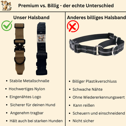 Robustes Nylon-Metall-Halsband mit dem Original Paw Lounge Logo
